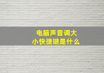 电脑声音调大小快捷键是什么