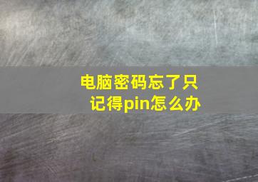 电脑密码忘了只记得pin怎么办