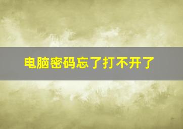 电脑密码忘了打不开了