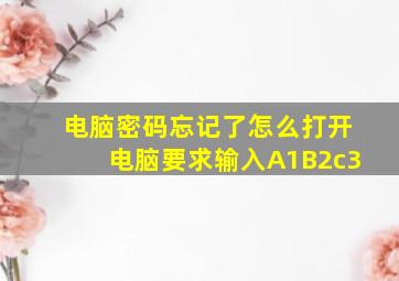 电脑密码忘记了怎么打开电脑要求输入A1B2c3