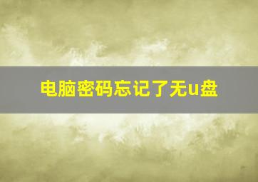 电脑密码忘记了无u盘