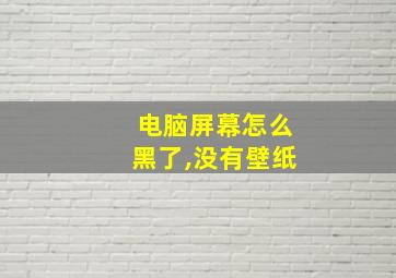 电脑屏幕怎么黑了,没有壁纸