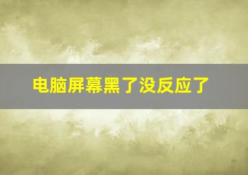 电脑屏幕黑了没反应了