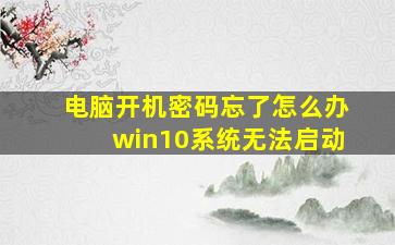 电脑开机密码忘了怎么办win10系统无法启动