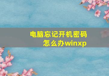 电脑忘记开机密码怎么办winxp