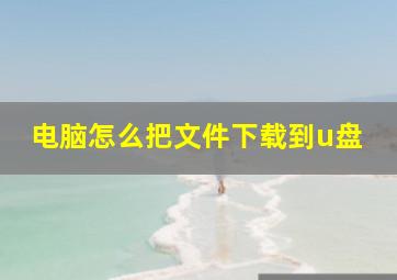 电脑怎么把文件下载到u盘