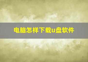 电脑怎样下载u盘软件