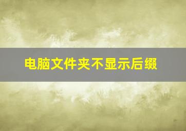 电脑文件夹不显示后缀