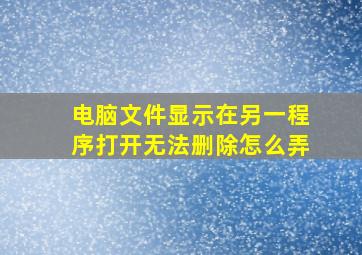 电脑文件显示在另一程序打开无法删除怎么弄