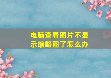 电脑查看图片不显示缩略图了怎么办