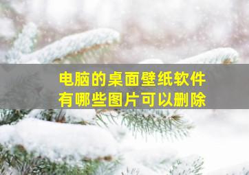 电脑的桌面壁纸软件有哪些图片可以删除