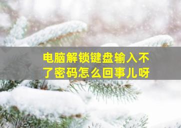 电脑解锁键盘输入不了密码怎么回事儿呀