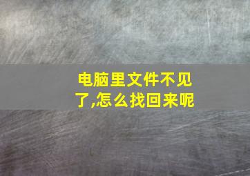 电脑里文件不见了,怎么找回来呢