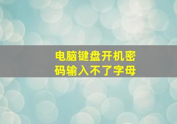 电脑键盘开机密码输入不了字母