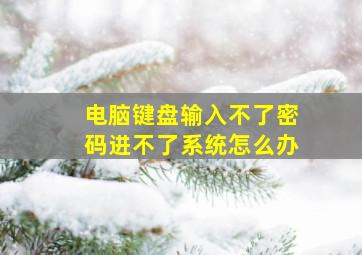 电脑键盘输入不了密码进不了系统怎么办