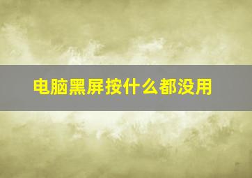 电脑黑屏按什么都没用