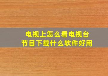 电视上怎么看电视台节目下载什么软件好用