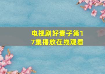 电视剧好妻子第17集播放在线观看