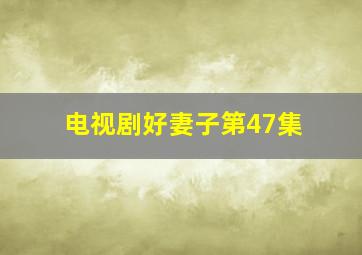 电视剧好妻子第47集