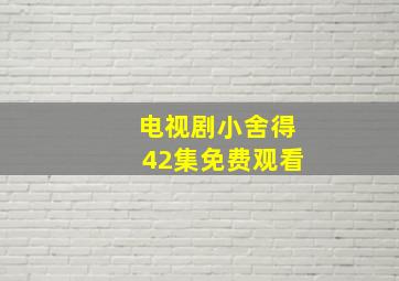 电视剧小舍得42集免费观看