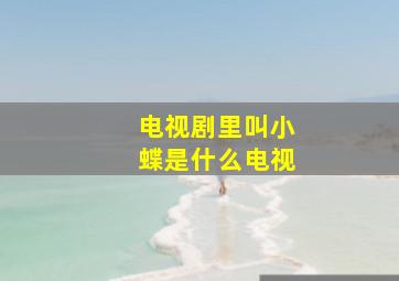 电视剧里叫小蝶是什么电视