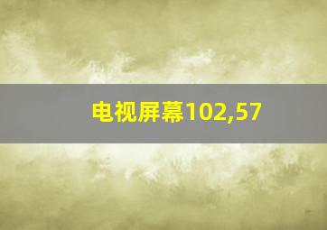 电视屏幕102,57