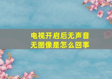 电视开启后无声音无图像是怎么回事