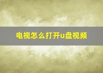 电视怎么打开u盘视频