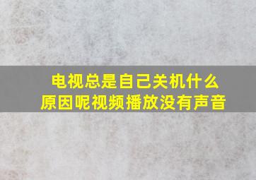 电视总是自己关机什么原因呢视频播放没有声音