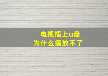 电视插上u盘为什么播放不了