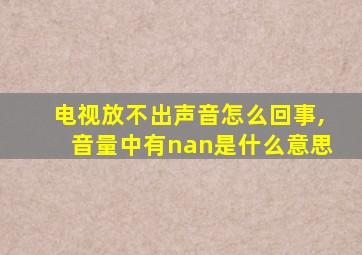 电视放不出声音怎么回事,音量中有nan是什么意思