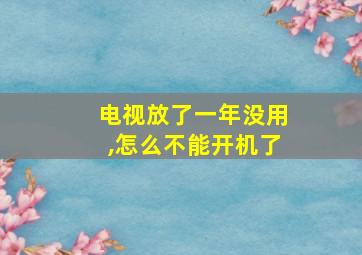 电视放了一年没用,怎么不能开机了