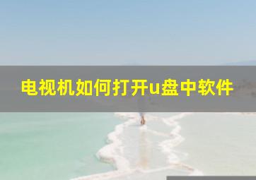 电视机如何打开u盘中软件