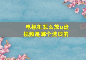 电视机怎么放u盘视频是哪个选项的