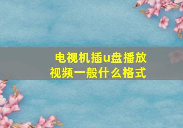 电视机插u盘播放视频一般什么格式