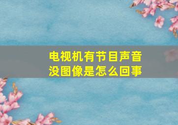 电视机有节目声音没图像是怎么回事