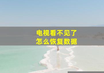 电视看不见了怎么恢复数据