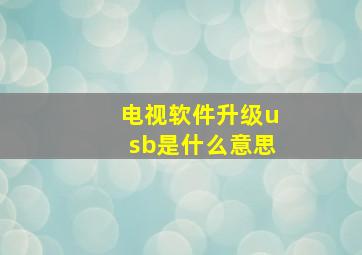 电视软件升级usb是什么意思