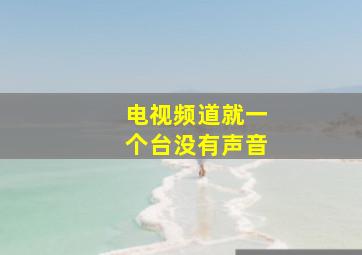 电视频道就一个台没有声音