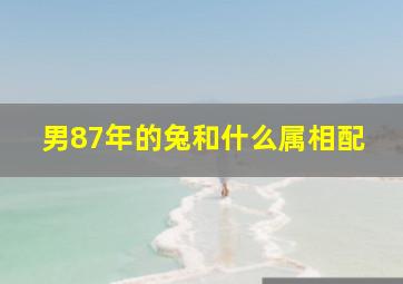 男87年的兔和什么属相配