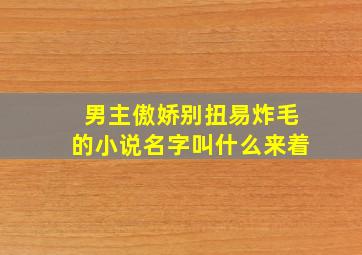 男主傲娇别扭易炸毛的小说名字叫什么来着