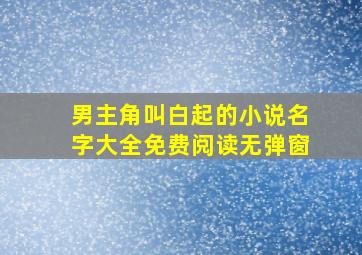 男主角叫白起的小说名字大全免费阅读无弹窗