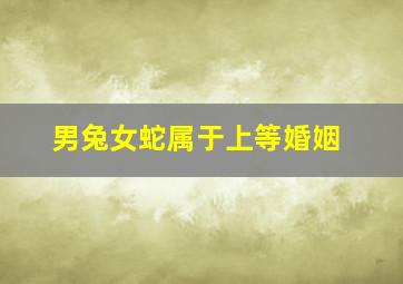 男兔女蛇属于上等婚姻