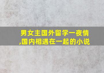 男女主国外留学一夜情,国内相遇在一起的小说