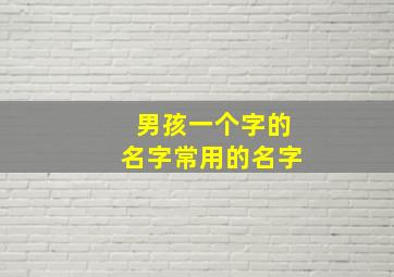 男孩一个字的名字常用的名字