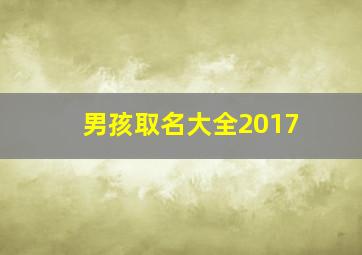 男孩取名大全2017