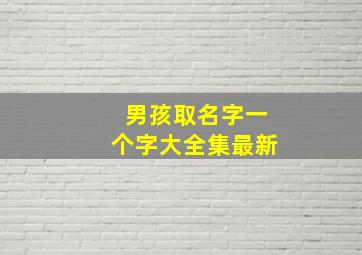 男孩取名字一个字大全集最新