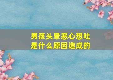 男孩头晕恶心想吐是什么原因造成的