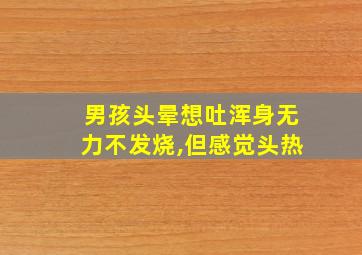 男孩头晕想吐浑身无力不发烧,但感觉头热