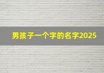 男孩子一个字的名字2025